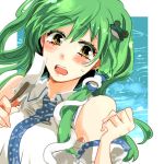  bad_id detached_sleeves frog green_hair hair_ornament kochiya_sanae lowres open_mouth popoin snake solo sweat touhou yellow_eyes 