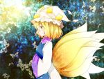  1girl blonde_hair butterfly dress fox_tail hat multiple_tails short_hair smile solo suzune_hapinesu tail touhou yakumo_ran yellow_eyes 