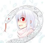  1girl adyisu altair_floone bust open_mouth original simple_background smile snake solo white_background 