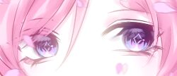  1girl commission diamond-shaped_pupils diamond_(shape) elysia_(herrscher_of_human:_ego)_(honkai_impact) elysia_(honkai_impact) eye_focus honkai_(series) honkai_impact_3rd petals pink_hair pink_petals shumu05022 solo symbol-shaped_pupils violet_eyes 