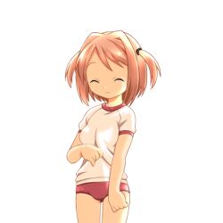  1girl 2000s_(style) ^_^ blush breasts brown_hair buruma closed_eyes closed_mouth cowboy_shot game_asset gym_shirt gym_uniform hair_intakes harukaze_yayoi_(ryoujoku_gakuen) hogeroh large_variant_set medium_breasts non-web_source red_buruma ryoujoku_gakuen self-datamine shirt short_sleeves simple_background smile solo standing swept_bangs tented_shirt transparent_background two_side_up variant_set 