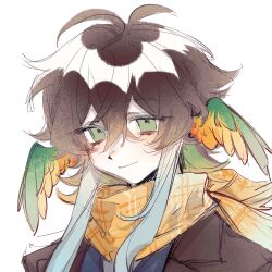  1boy aegyo_sal androgynous animification antenna_hair bishounen brown_hair brown_jacket chinese_commentary commentary_request green_eyes head_wings humanization jacket long_sidelocks medium_hair minecraft_youtube parrot_boy parrotx2 plaid_clothes plaid_scarf portrait scarf sidelocks simple_background smile solo unstable_universe variant_set white_background wings yellow_scarf yuan9abyss 