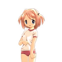  1girl 2000s_(style) blue_eyes blush breasts brown_hair buruma cowboy_shot game_asset gym_shirt gym_uniform hair_intakes harukaze_yayoi_(ryoujoku_gakuen) hogeroh large_variant_set medium_breasts non-web_source open_mouth red_buruma ryoujoku_gakuen self-datamine shirt short_sleeves simple_background smile solo standing swept_bangs tareme tented_shirt transparent_background two_side_up variant_set 