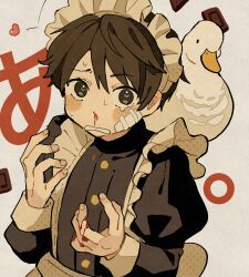  1boy apron bird black_dress blood blood_on_face blood_on_hands brown_eyes brown_hair chocolate commentary_request crossdressing crossdressing_(mtf) dress duck frown gauze gauze_on_cheek highres juliet_sleeves long_sleeves looking_at_viewer maid maid_apron maid_headdress male_focus male_maid nosebleed open_mouth original puffy_sleeves short_hair solo tearing_up translation_request umibatari upper_body white_apron 