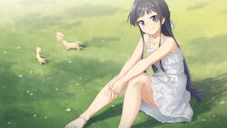  1girl black_hair blue_eyes closed_mouth commentary_request creature day dress grass highres idolmaster idolmaster_million_live! idolmaster_million_live!_theater_days interlocked_fingers liselsia long_hair mogami_shizuka official_alternate_costume outdoors own_hands_together pure_onepiece_(idolmaster) sandals sitting smile solo white_dress white_sandals 