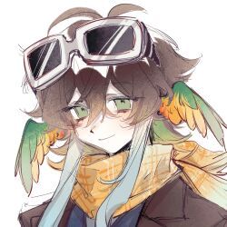  1boy aegyo_sal androgynous animification antenna_hair bishounen brown_hair brown_jacket chinese_commentary commentary_request goggles goggles_on_head green_eyes head_wings humanization jacket long_sidelocks medium_hair minecraft_youtube parrot_boy parrotx2 plaid_clothes plaid_scarf portrait scarf sidelocks simple_background smile solo unstable_universe variant_set white_background wings yellow_scarf yuan9abyss 