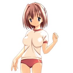  1girl 2000s_(style) breasts brown_hair buruma closed_mouth cowboy_shot game_asset gym_shirt gym_uniform hair_between_eyes hair_intakes half_updo hogeroh large_variant_set medium_breasts natsuki_mayu non-web_source red_buruma ryoujoku_gakuen self-datamine shirt short_sleeves simple_background solo tented_shirt transparent_background variant_set violet_eyes 