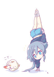  1girl black_hair black_hoodie blue_eyes blue_shorts chibi closed_mouth commentary_request dolphin_shorts fu_hua full_body highres honkai_(series) honkai_impact_3rd hood hoodie jingwei_(bird) kneepits long_hair long_sleeves mon_momu notice_lines ponytail shorts simple_background soles solo stirrup_legwear toeless_legwear white_background 