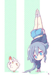  1girl black_hair black_hoodie blue_eyes blue_shorts chibi closed_mouth commentary_request dolphin_shorts fu_hua full_body green_background highres honkai_(series) honkai_impact_3rd hood hoodie jingwei_(bird) kneepits long_hair long_sleeves mon_momu ponytail shorts soles solo stirrup_legwear toeless_legwear two-tone_background white_background 