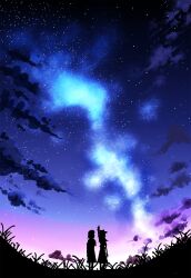 2girls capelet clouds commentary dinotodon dress grass hat highres maribel_hearn multiple_girls nebula night shirt skirt sky standing star_(sky) starry_sky touhou usami_renko 