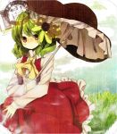  1girl flower frills green_hair hair_flower hair_ornament kazami_yuuka red_eyes skirt skirt_set solo sunflower touhou umbrella 