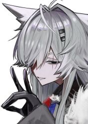  1girl animal_ears black_gloves black_jacket commentary_request gloves grey_eyes grey_hair grin ha_(huton_in_mach) hair_ornament hair_over_one_eye hairclip highres jacket lappland_(arknights) lappland_the_decadenza_(arknights) long_hair looking_at_viewer necktie official_alternate_costume portrait scar scar_across_eye scar_on_face simple_background smile solo tie_clip white_background wolf_ears wolf_girl 