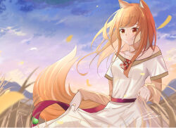  1girl absurdres animal_ears bare_shoulders blue_sky blunt_bangs blurry blush breasts brown_hair closed_mouth collarbone commentary cowboy_shot day depth_of_field dress floating_hair highres holding_own_dress holo jewelry layered_sleeves long_hair long_sleeves medium_breasts mountainous_horizon necklace off-shoulder_dress off_shoulder outdoors penguin_sensei_(artist) red_eyes short_over_long_sleeves short_sleeves sidelighting sidelocks signature sky smile solo spice_and_wolf split_mouth tail tail_raised wheat_field white_dress wind wolf_ears wolf_girl wolf_tail 