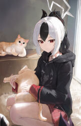  1girl absurdres animal black_hair black_horns black_jacket blue_archive cat closed_mouth grey_halo halo highres hood hooded_jacket horns indoors jacket jianjia kayoko_(blue_archive) looking_at_viewer mole mole_on_neck multicolored_hair red_eyes sitting thighs two-tone_hair wariza white_hair 