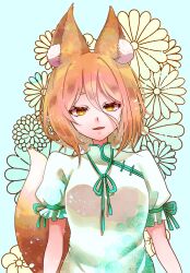  1girl absurdres animal_ear_fluff animal_ears blonde_hair blue_background commentary_request fangs floral_background floral_print fox_ears fox_girl fox_tail green_ribbon hair_between_eyes highres ikth00nm kudamaki_tsukasa looking_at_viewer medium_hair neck_ribbon open_mouth puffy_short_sleeves puffy_sleeves ribbon romper short_sleeves sleeve_ribbon smile solo tail touhou upper_body white_romper yellow_eyes 