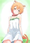  1girl animal_ears asterism blush cat_ears cat_gloves cat_tail collar dress green_eyes highres hoshizora_rin love_live!_school_idol_project orange_hair short_hair simple_background smile solo tail 