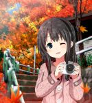  1girl autumn black_hair blue_eyes blush camera leaf long_hair looking_at_viewer maple_leaf open_mouth original ragho_no_erika smile solo stairs tree wink 