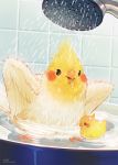  beak bird cockatiel era_(traveling_bird) feathers no_humans original rubber_duck shower shower_head tile_wall tiles water wings 