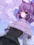  1girl animal_ears blue_sky capelet clouds dutch_angle fur_trim long_sleeves looking_at_viewer mouse_ears nazrin purple_hair red_eyes salixcbose short_hair side_glance skirt skirt_set sky solo touhou 
