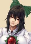  1girl black_hair bow hair_bow long_hair looking_at_viewer minamike1991 red_eyes reiuji_utsuho solo touhou 