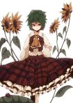  bad_id flower fuurin_(omaemona) green_hair kazami_yuuka ladybug long_skirt plaid plaid_skirt plaid_vest red_eyes shaded_face short_hair skirt skirt_set sunflower touhou white_background 