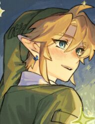  1boy blonde_hair blue_eyes blush commentary_request earrings green_hat green_tunic happy hat isa-415810 jewelry korean_commentary link male_focus open_mouth pointy_ears smile solo the_legend_of_zelda tunic 