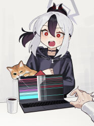  1girl absurdres biting black_choker black_hair black_horns blue_archive cat choker computer grey_halo halo highres horns kayoko_(blue_archive) laptop long_sleeves multicolored_hair open_mouth pov pov_hands red_eyes surprised two-tone_hair white_hair yoon_cook 