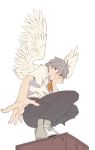  1boy angel_wings deilrimix grey_hair head_rest male nagisa_kaworu neon_genesis_evangelion red_eyes smile solo squatting wings 