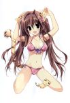 1girl :d absurdres animal_ears bikini breasts brown_hair chibi cleavage comic_toranoana halterneck highres karory kneeling open_mouth simple_background smile swimsuit tagme tail tiger tiger_ears tiger_tail twintails violet_eyes |3 