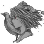  1girl bird crow hat kuronuko_neero portrait red_eyes shameimaru_aya short_hair solo spot_color tokin_hat touhou 