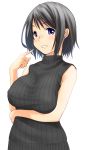  1girl absurdres black_hair blue_eyes blush breast_hold earrings grin highres jewelry looking_at_viewer original retsu_maru ribbed_sweater short_hair sleeveless sleeveless_turtleneck smile solo standing sweater turtleneck white_background 