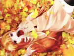  1girl animal_ears apple autumn autumn_leaves brown_hair food fruit holo long_hair lying on_back pouch red_eyes sakura_(0tjagjmgptjm) solo spice_and_wolf tail wolf_ears wolf_tail 