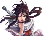  1girl highres kingdom kyoukai_(kingdom) long_hair ponytail scarf sword weapon yosui 