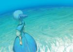  1girl blue blue_hair bow chomoran cirno from_behind hair_bow ice ice_wings short_hair solo touhou water wings 