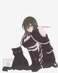  1girl alternate_hairstyle bare_shoulders black_cat black_dress black_gloves black_jacket black_socks cat closed_mouth commentary dress full_body gloves green_hair highres jacket knees_to_chest long_hair looking_at_viewer noichigo_f pleated_dress simple_background sitting socks solo sousou_no_frieren suspenders_hanging twitter_username ubel_(sousou_no_frieren) untranslatable_commentary violet_eyes white_background 