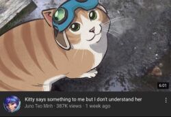  :3 animal_focus artist_name cat commentary english_commentary english_text fake_screenshot goggles goggles_on_head green_eyes jetpack_cat_(overwatch) juno_(overwatch) looking_at_viewer metsanpeitossa no_humans orange_fur overwatch photo-referenced photo_background whiskers youtube 