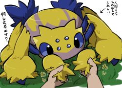  animal_focus blue_eyes extra_eyes extra_legs galvantula grabbing_another's_arm highres lettuce_no_hito pokemon pokemon_(creature) pokemon_focus pov pov_hands simple_background yellow_fur 