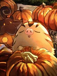  :d animal_focus brown_fur closed_eyes full_body highres looking_at_viewer no_humans oguraan open_mouth outdoors pokemon pokemon_(creature) pokemon_focus pumpkaboo pumpkin simple_background smile swinub yellow_eyes 