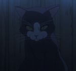  animated animated_gif cat eyes glowing_eyes kuroneko_(shikabane_hime) lowres no_humans shikabane_hime solo 