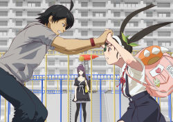  1boy 2girls ahoge araragi_koyomi arms_up backpack bag bakemonogatari black_dress black_hair black_pants black_pantyhose black_skirt blush building clenched_teeth commentary_request cowboy_shot day dress feet_out_of_frame hachikuji_mayoi hair_ornament hair_ribbon hair_scrunchie hairband highres holding_hands hood hood_down long_hair monogatari_(series) multiple_girls outdoors pants pantyhose playground ponytail purple_hair ribbon school_bag school_uniform scrunchie senjougahara_hitagi short_dress short_hair short_sleeves shoulder_bag sidelocks skirt suspender_skirt suspenders teeth twintails user_pzkg3434 v-shaped_eyebrows white_hairband wrestling 