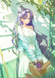  1girl absurdres basket black_halo blue_archive bow bread cardigan casual center_frills collarbone damcheong dress food frills fruit hair_bow halo high_ponytail highres holding holding_basket long_hair mechanical_halo off_shoulder ponytail purple_hair sleeveless sleeveless_dress solo sundress violet_eyes white_dress yuuka_(blue_archive) 