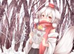 chikuwa_savi food inubashiri_momiji scarf snow solo sweet_potato touhou winter 