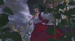  1girl ascot chinese_commentary clouds cloudy_sky collared_shirt commentary_request field flower flower_field frilled_skirt frills green_hair highres holding holding_umbrella kazami_yuuka long_sleeves open_clothes open_vest outdoors pea_(bilibili_176333) plaid_clothes plaid_skirt plaid_vest red_eyes red_skirt red_vest shirt skirt skirt_set sky solo sunflower sunflower_field touhou umbrella vest white_shirt yellow_ascot yellow_flower 