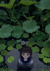  1girl acorn_dongur1 artist_logo black_eyes blue_neckerchief blue_sailor_collar brown_hair commentary_request expressionless from_above highres lily_pad logo looking_at_viewer looking_up neckerchief original outdoors partially_submerged pond sailor_collar sailor_shirt shirt short_hair solo twintails white_shirt 