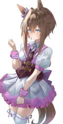  1girl absurdres animal_ears bimmy black_vest blue_eyes bow brown_hair cheval_grand_(umamusume) closed_mouth collared_shirt commentary cosplay cowboy_shot ear_bow hair_between_eyes highres horse_ears horse_tail looking_at_viewer neck_ribbon purple_bow ribbon shirt short_hair_with_long_locks simple_background skirt solo special_week_(special_dreamer)_(umamusume) special_week_(umamusume) special_week_(umamusume)_(cosplay) tail thigh-highs umamusume vest violet_eyes white_background white_shirt white_skirt white_thighhighs wrist_cuffs 