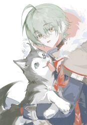  1boy 32c1ff ahoge alyosha_(genshin_impact) animal animal_ears animal_nose baby_animal black_fur black_gloves black_shirt blue_eyes blue_jacket cape commentary_request dog dog_ears dog_tail earmuffs eyelashes from_side fur-trimmed_cape fur_trim genshin_impact gloves green_hair grey_cape hair_between_eyes highres holding holding_animal hood hooded_cape huge_ahoge husky jacket long_sleeves looking_at_another looking_at_viewer looking_up male_focus open_mouth pet puppy shirt short_hair simple_background smile tail teeth tongue tongue_out turtleneck turtleneck_shirt two-tone_fur upper_body white_background white_fur yellow_eyes 