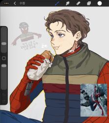  1boy art_program_in_frame beanie bodysuit bread brown_eyes brown_hair commentary doodle_inset eating food grey_background hae_moooc hat high_collar highres holding_bread jacket korean_text marvel mask multicolored_bodysuit padded_jacket peter_parker photo_inset print_bodysuit red_bodysuit sleeveless sleeveless_jacket spider-man spider-man:_brand_new_day spider-man_(series) spider_web_print superhero_costume two-tone_bodysuit upper_body 