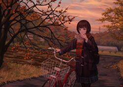  1girl acorn_dongur1 artist_logo autumn autumn_leaves bag bare_tree bicycle bicycle_basket black_coat blue_skirt blue_sky breath brown_bag brown_hair building coat cold colorful_clouds commentary_request cowboy_shot grass grey_eyes hand_to_own_mouth highres leaf logo long_sleeves original outdoors path plaid_clothes plaid_scarf plaid_skirt pushing_bicycle red_scarf scarf short_hair skirt sky solo sunset toggles tree winter_clothes 