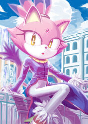  1girl animal_nose black_nose blaze_the_cat cat_girl cat_tail coat commentary_request eyelashes forehead_jewel fur-trimmed_gloves fur-trimmed_shoes fur_trim furry furry_female gloves highres purple_coat purple_fur sakaki37471 sonic_(series) sonic_rush tail 