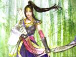 armor arrows bow ina ina_hime ponytail samurai_warriors weapon 